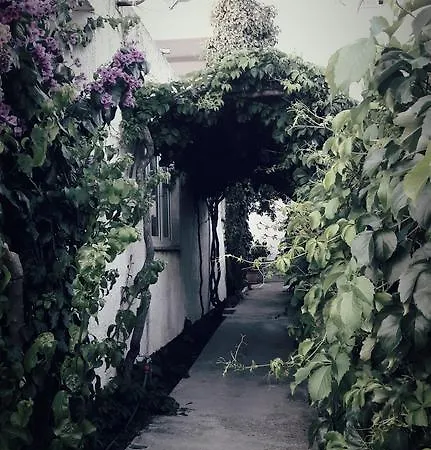 Апартаменты Leonarda *